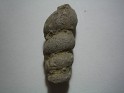 Unknown  Spain. Uploaded by Granotius